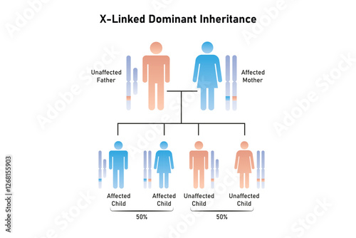 X-Linked Dominant Inheritance Science Design. Vector Illustration.
