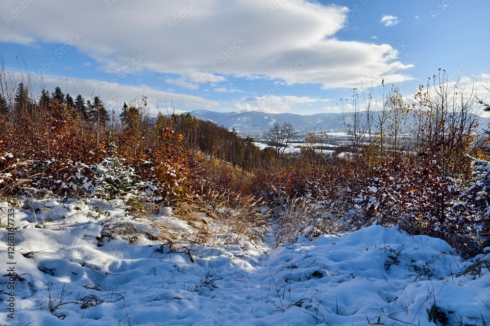 winter landscape with mountains winter landscape with mountains