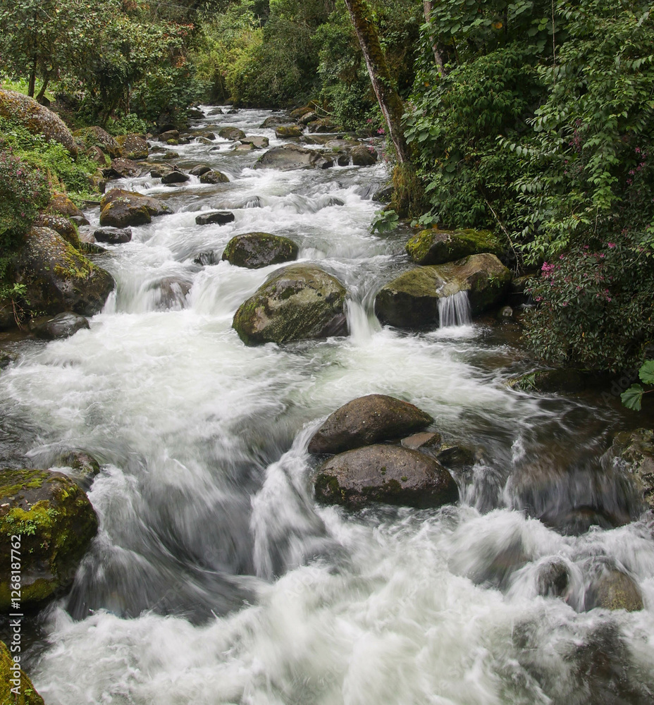Obraz premium Rapids on the Stream in Colombian Rainforest, South America