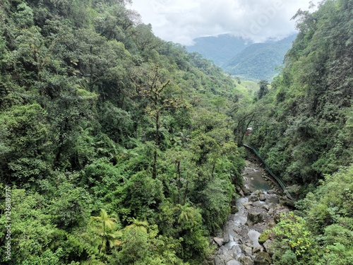 Wallpaper Mural Savegre Cloud Forest Tropical Canyon Torontodigital.ca