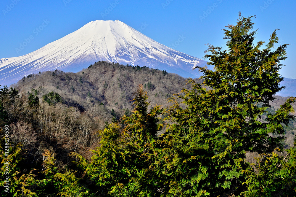 Fototapeta premium 道志山塊の奥ノ岳 送電鉄塔からの富士山の展望 