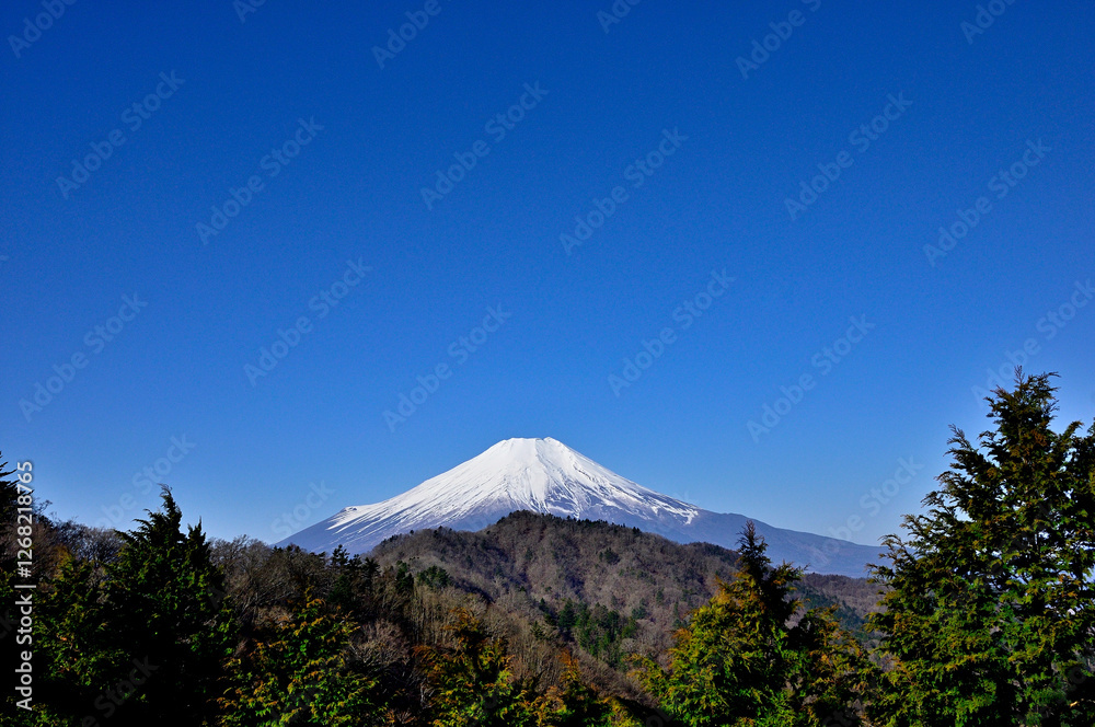 道志山塊の奥ノ岳にある送電鉄塔の展望台から富士山と青空のコピースペース
道志山塊の奥ノ岳にある送電鉄塔の展望台から富士山と青空のコピースペース