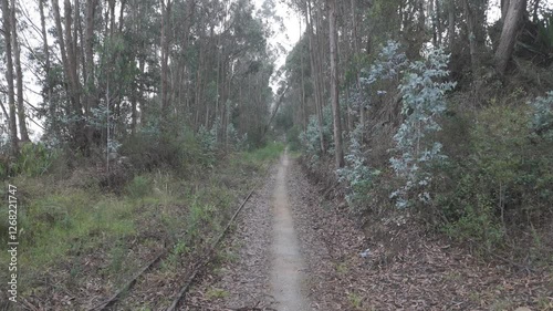 Sendero entre bosque con camino
4K 60FPS, No edición, color plano, vuelo unidireccional