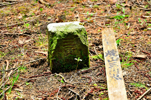丹沢の焼山山頂　二等三角点（焼山）
 photo