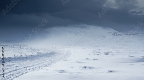 Wallpaper Mural A serene winter landscape featuring a winding snow-covered road under a dramatic gray sky. Torontodigital.ca