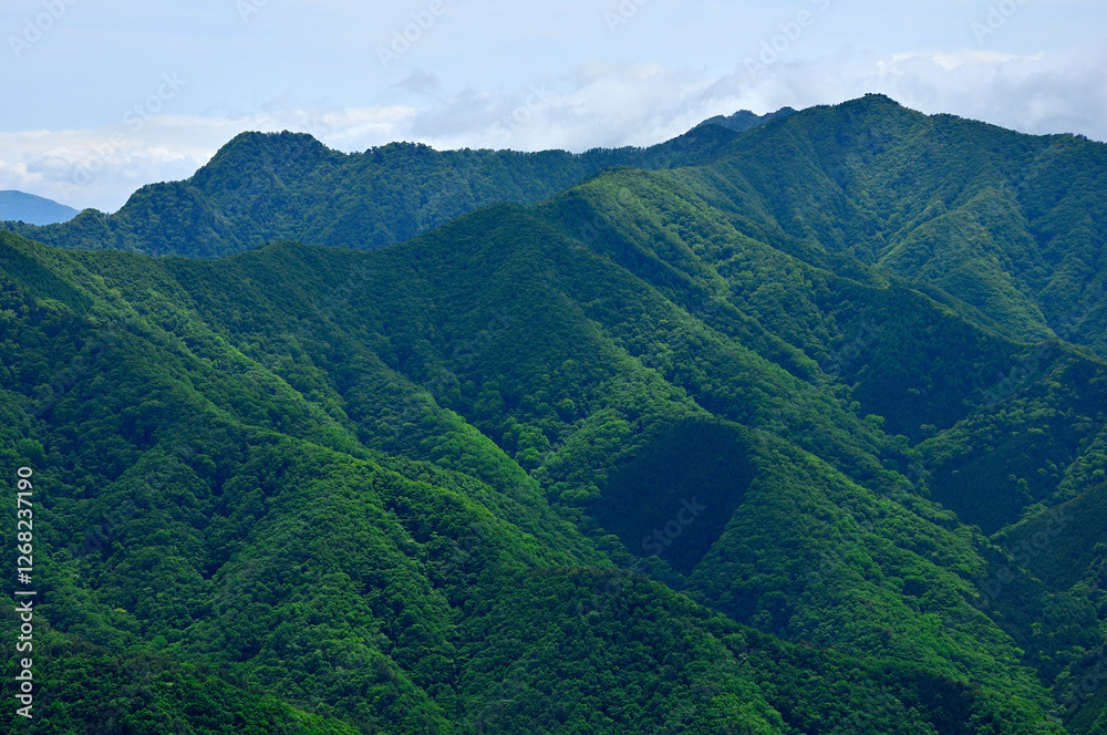 Fototapeta premium 御坂山地の釈迦ヶ岳山頂より 新緑の十二ヶ岳、雪頭ヶ岳、鬼ヶ岳、節刀ヶ岳を望む 