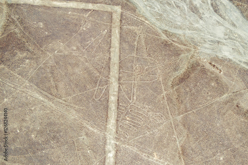 Nazca lines in Peru - The Whale (la ballena)