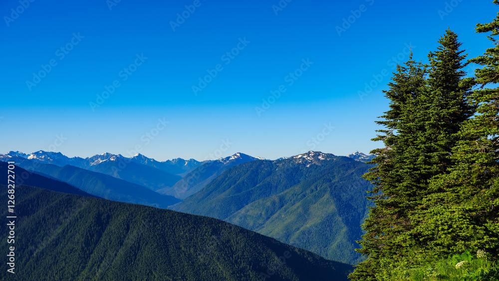 Φωτογραφία Hurricane Ridge in Olympic National Park and the surrounding mountains in mornin
