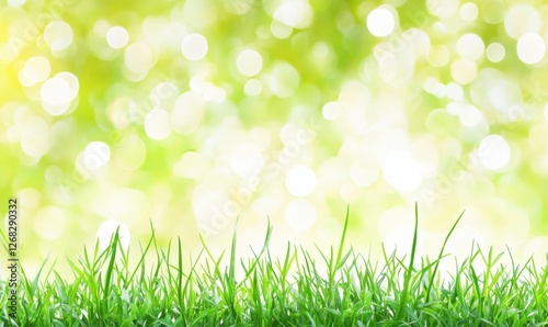 Lush green grass with blurred bokeh background creating a serene outdoor atmosphere
