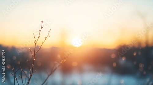 Winter Sunrise Frozen Branches, Peaceful Morning, Snowy Landscape, Background for Nature Theme photo