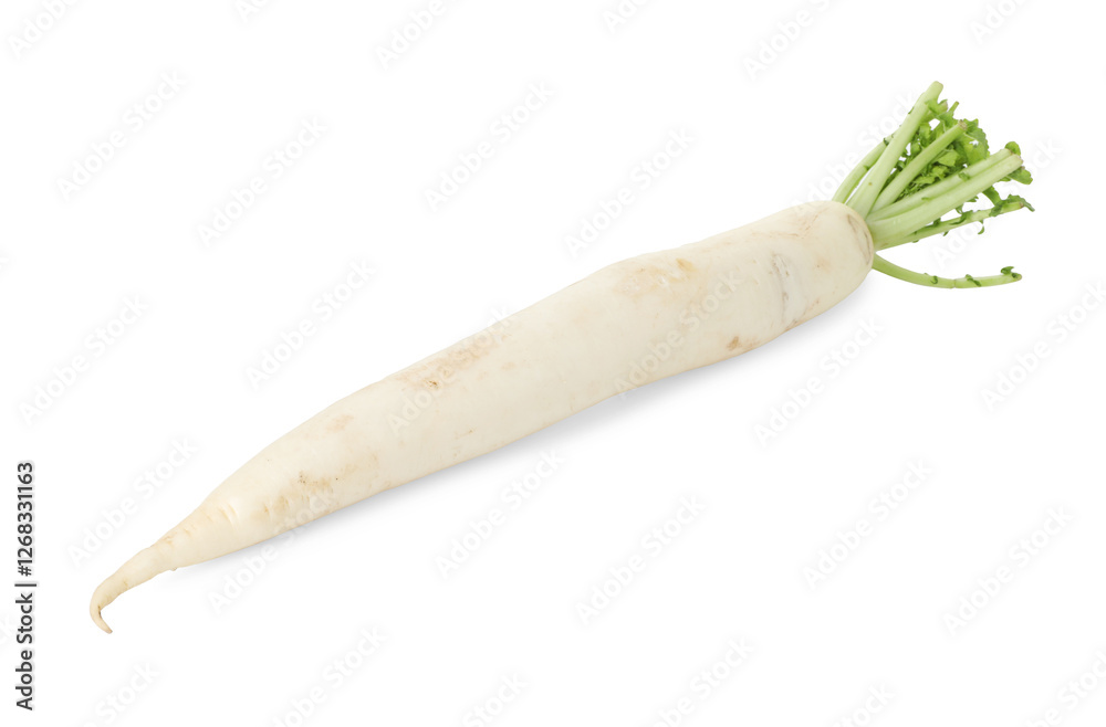 Whole fresh turnip isolated on white. Vegetable root Whole fresh turnip isolated on white. Vegetable root