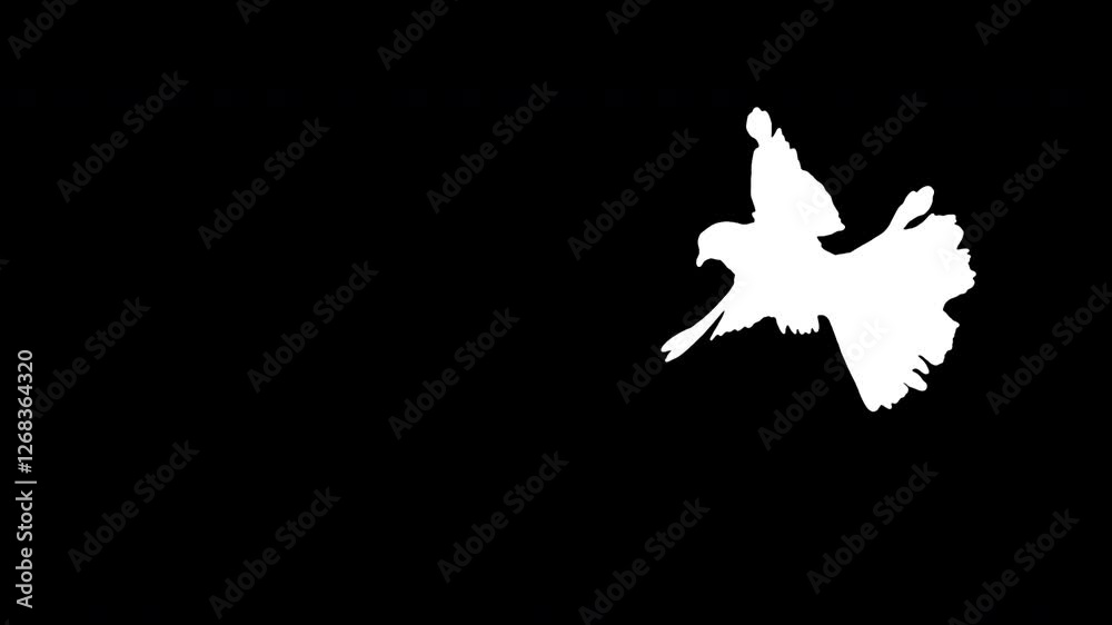 White bird flying slow motion on black background. Black and white for composite and presentation. Alpha matte isolated.