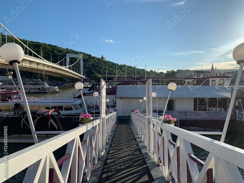 bridge over the river