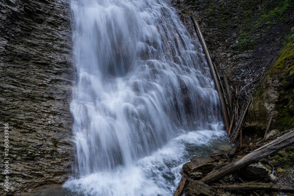 Obraz premium Margaret Falls loop trail with mountain stream near Shuswap lake British Columbia with scenic hiking trail