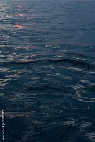 Water or Paint