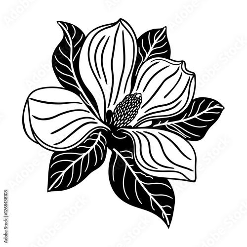 Magnolia Flower Silhouette