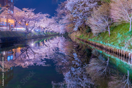 弘前公園の美しい夜桜 photo