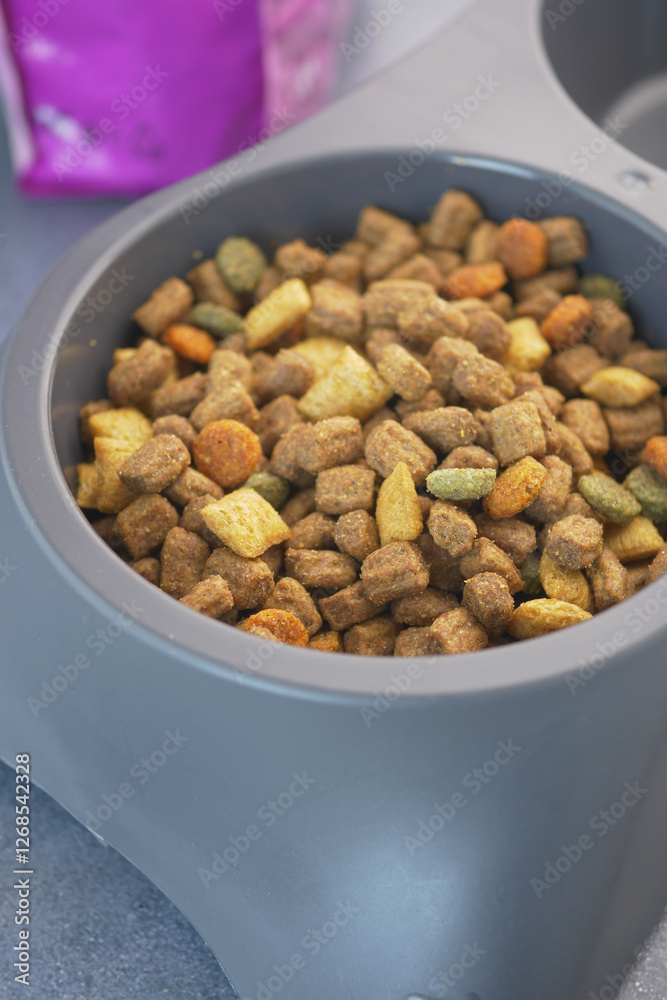 Pet food bowl filled with kibble and colorful pieces for feeding Pet food bowl filled with kibble and colorful pieces for feeding