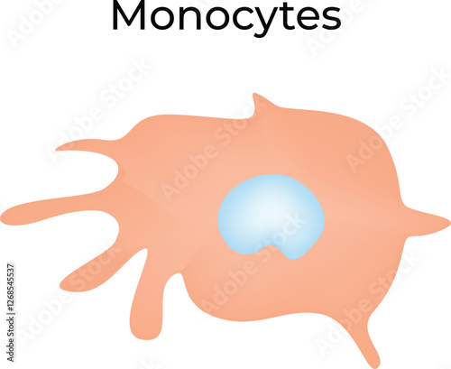 Monocyte Science Design Vector Illustration Diagram