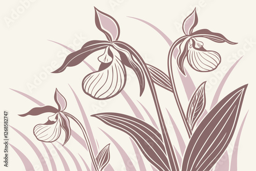 Minnesota lady’s slipper orchids with intricate detailing in soft colors.