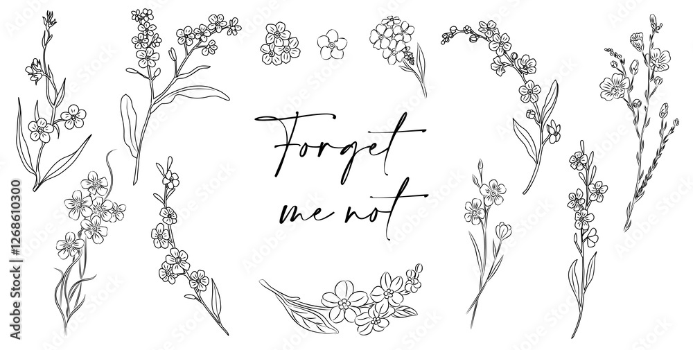 Set of Forget me not flower line art vector illustrations. Myosotis monochrome hand drawn black ink sketch isolated on white background. Modern minimalist design for tattoo, jewelry, logo, packaging.