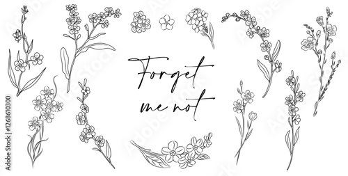 Set of Forget me not flower line art vector illustrations. Myosotis monochrome hand drawn black ink sketch isolated on white background. Modern minimalist design for tattoo, jewelry, logo, packaging.