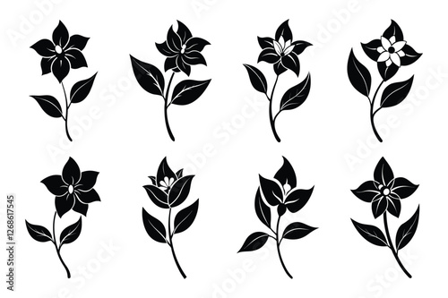 Hoya (Hoya spp.) silhouette vector illustration