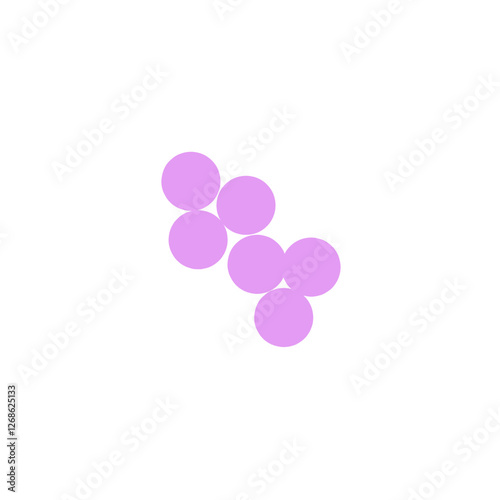 staphylococcus aureus bacteria