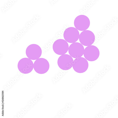 staphylococcus aureus bacteria