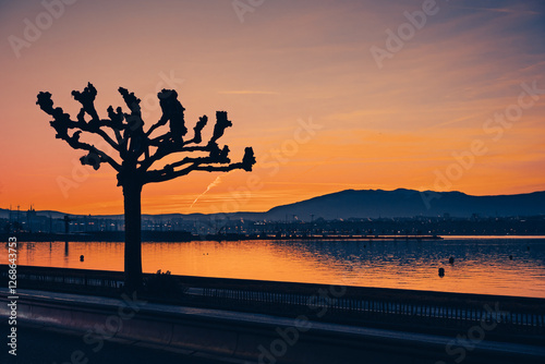 Coucher du soleil sur les quais de Genève