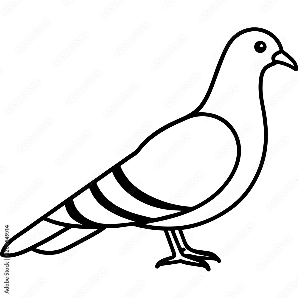 Fototapeta premium Minimalist Pigeon Line Art Vector