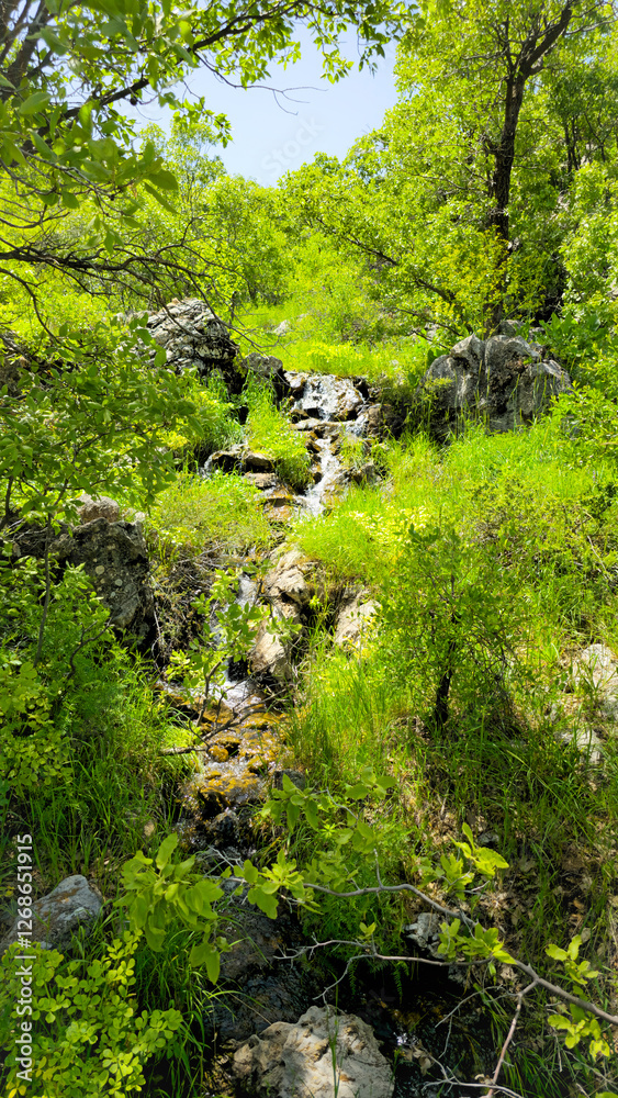 Obraz premium A lush green forest with rocks and a stream under a clear blue sky. 📍Hawraman Takht, Kurdistan
