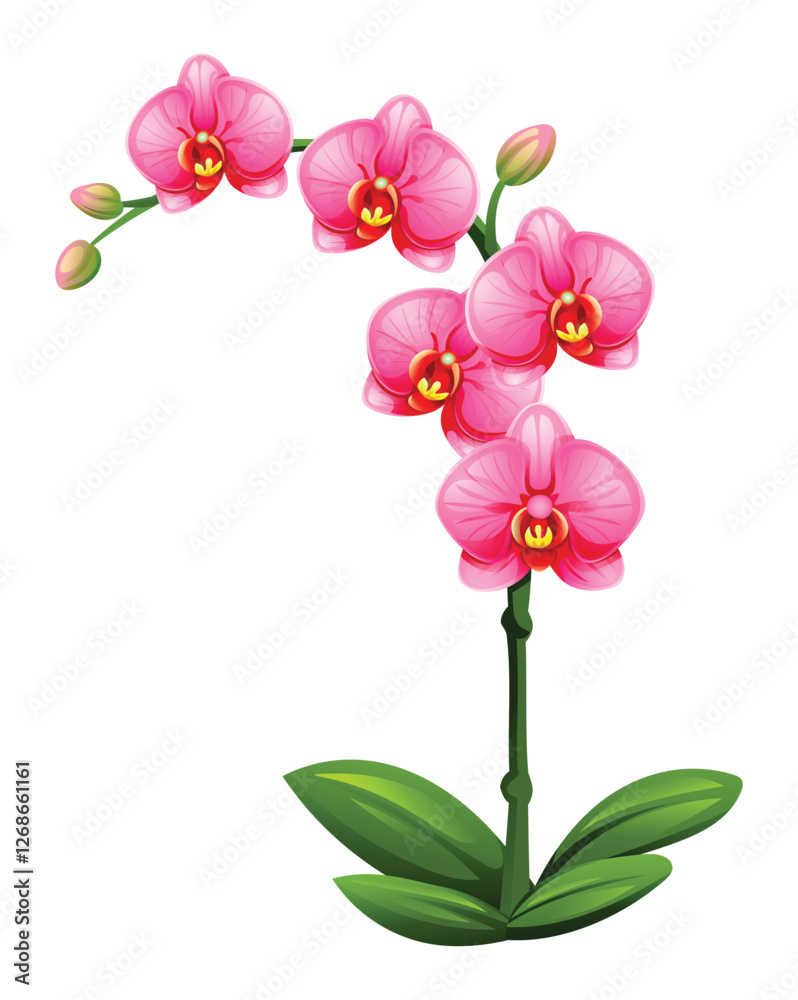 Fototapeta premium Pink orchid flowers with bright petals and green leaves. Vector illustration