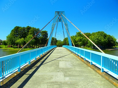 夏の水元公園の水元大橋