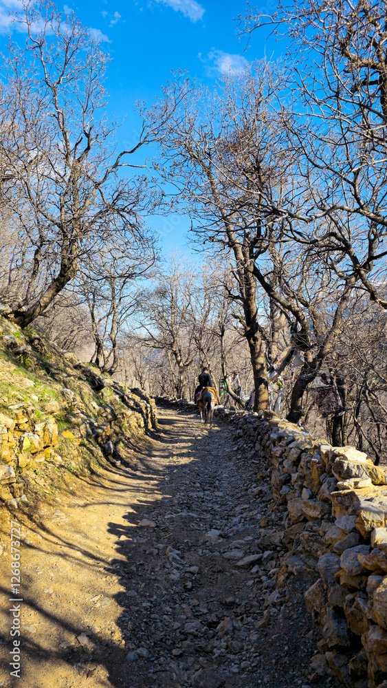 A lone horseback rider traverses a scenic trail surrounded by bare trees under a clear blue sky.
📍Hawraman Takht, Kurdistan A lone horseback rider traverses a scenic trail surrounded by bare trees under a clear blue sky.
📍Hawraman Takht, Kurdistan
