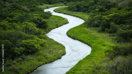 Serpentine River Winding Through Lush Green Landscape