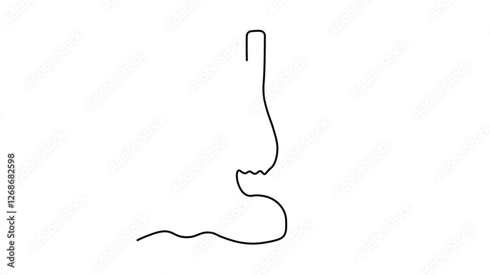 Abstract vintage kerosene lamp, Self drawing animation one continuous line draw, logo