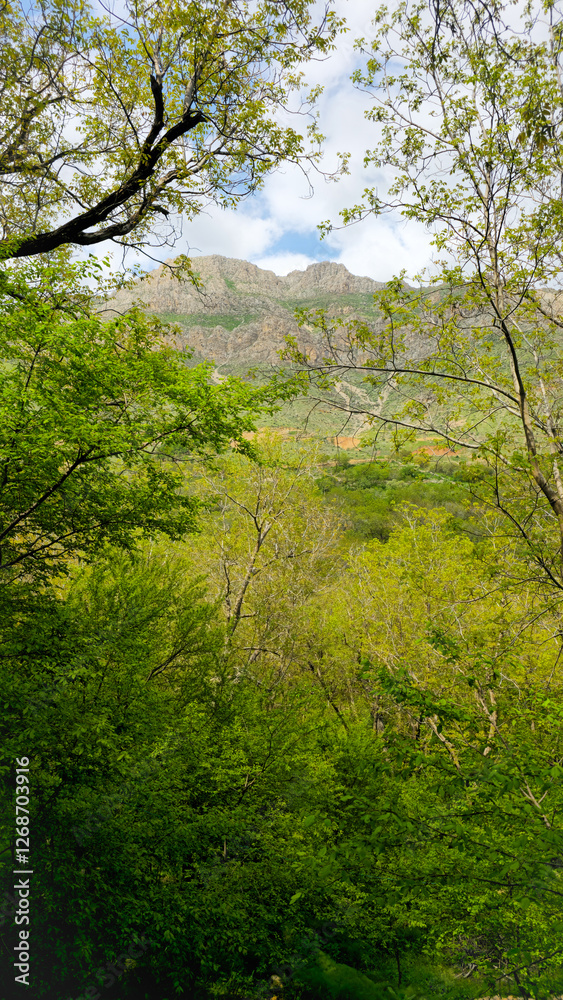Embrace the beauty of spring, where every step leads to serenity and endless adventure.
📍Hawraman Takht, Kurdistan
Embrace the beauty of spring, where every step leads to serenity and endless adventure.
📍Hawraman Takht, Kurdistan
