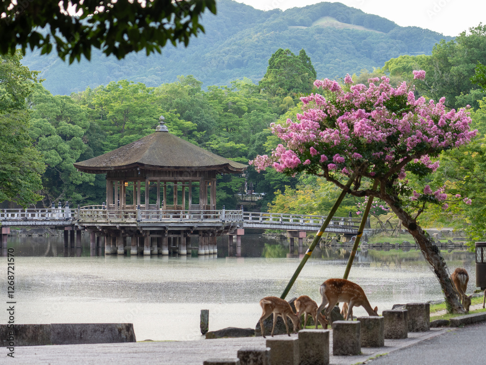 Ukimido Pavilion in Nara park early in the morning