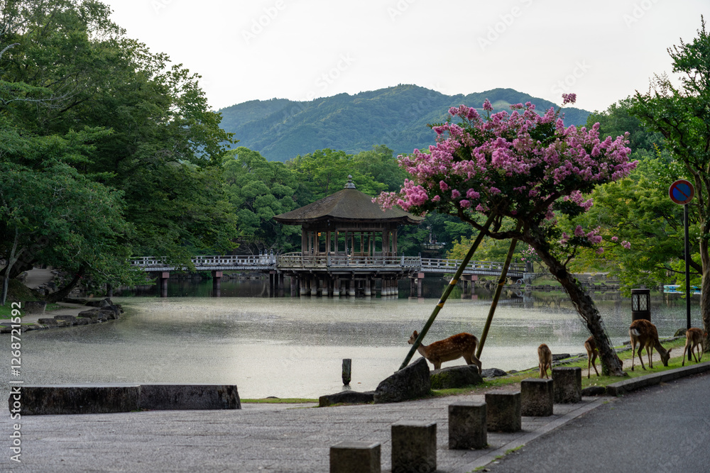Ukimido Pavilion in Nara park early in the morning