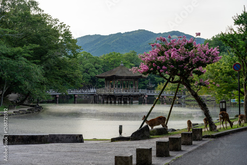 Obraz na płótnie Ukimido Pavilion in Nara park early in the morning w salonie