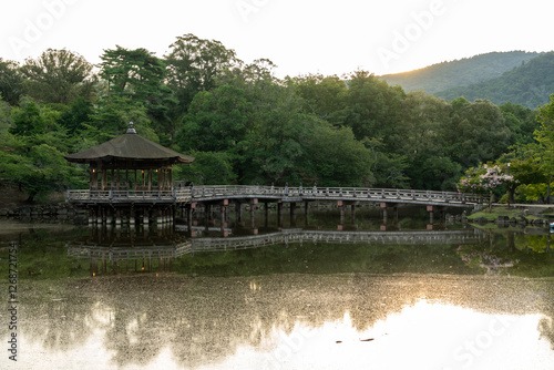 Obraz na płótnie Ukimido Pavilion in Nara park early in the morning w salonie