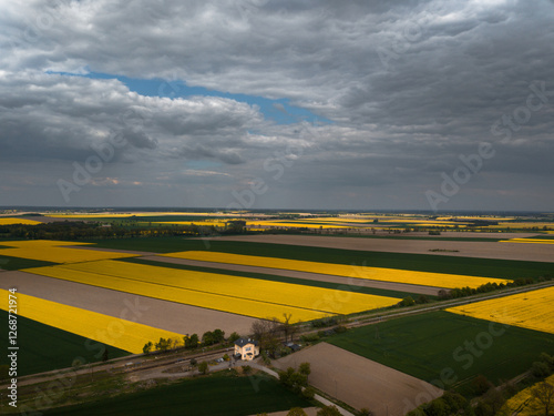 Aerial View of Rapeseed Fields and Country Road in Spring