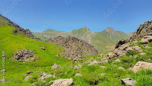 Embrace the beauty of spring, where every step leads to serenity and endless adventure.
📍Hawraman Takht, Kurdistan 
 photo