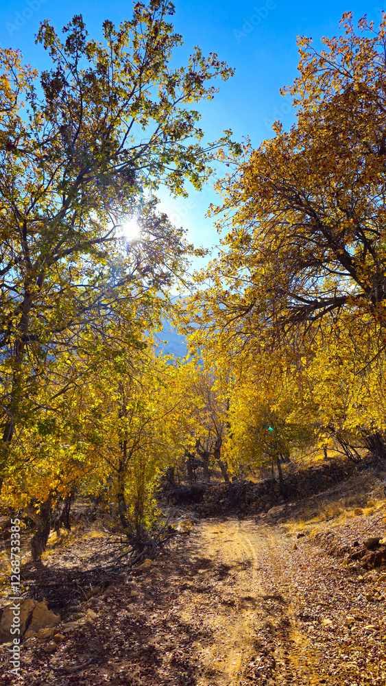 Autumn in Hawraman Takht unfolds a stunning landscape, where vibrant colors paint a mesmerizing scene that soothes the soul and mind.
📍Kamalla village - Hawraman Takht Autumn in Hawraman Takht unfolds a stunning landscape, where vibrant colors paint a mesmerizing scene that soothes the soul and mind.
📍Kamalla village - Hawraman Takht