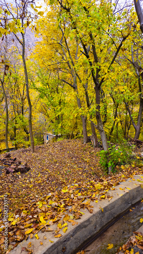 Autumn in Hawraman Takht unfolds a stunning landscape, where vibrant colors paint a mesmerizing scene that soothes the soul and mind.
📍Kamalla village - Hawraman Takht  photo