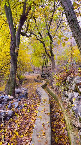 Autumn in Hawraman Takht unfolds a stunning landscape, where vibrant colors paint a mesmerizing scene that soothes the soul and mind.
📍Kamalla village - Hawraman Takht  photo