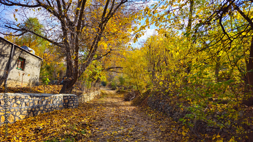 Foto Autumn in the mesmerizing nature of Goshkhani village, where the colorful fall leaves create a symphony of beauty and endless tranquility