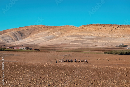 Camel caravan in the desert valley near Marakkesh, MOROCCO