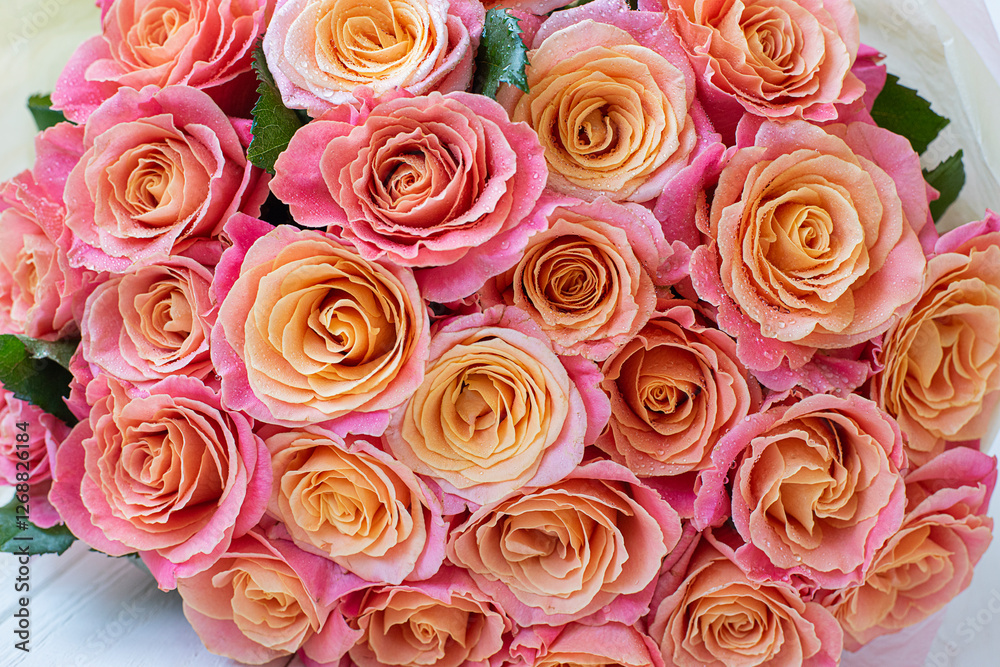 Naklejka premium delicate bouquet of beautiful pink-orange roses. Close-up. lush roses